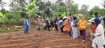 Papayan “Agricamp” Membangun Ketahanan Pangan Melibatkan Anak Muda