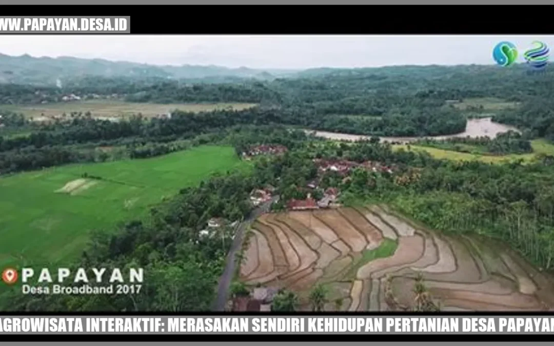 Agrowisata Interaktif: Merasakan Sendiri Kehidupan Pertanian Desa Papayan