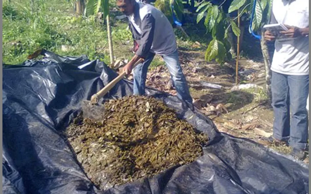 Dari Alam ke Lahan Pertanian: Manfaat Pupuk Organik di Agricamp Papayan