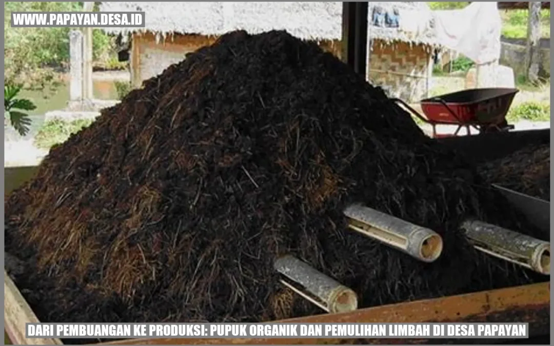 Dari Pembuangan ke Produksi: Pupuk Organik dan Pemulihan Limbah di Desa Papayan