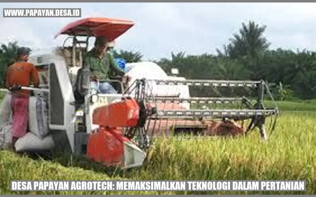 Desa Papayan Agrotech: Memaksimalkan Teknologi dalam Pertanian