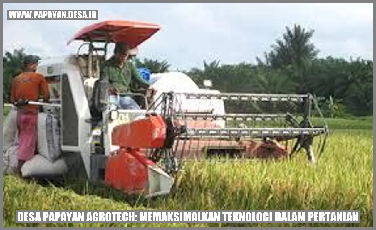 Desa Papayan Agrotech: Memaksimalkan Teknologi dalam Pertanian