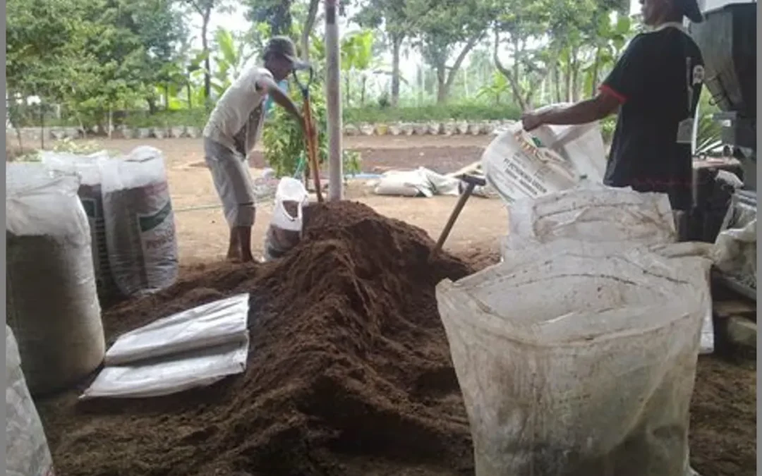 Kekayaan Desa Papayan melalui Domba dan Pupuk Organik