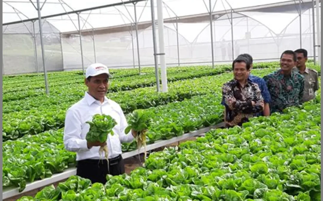 Inovasi Pertanian dan Perubahan Iklim: Solusi untuk Meningkatkan Produksi Pangan di Desa