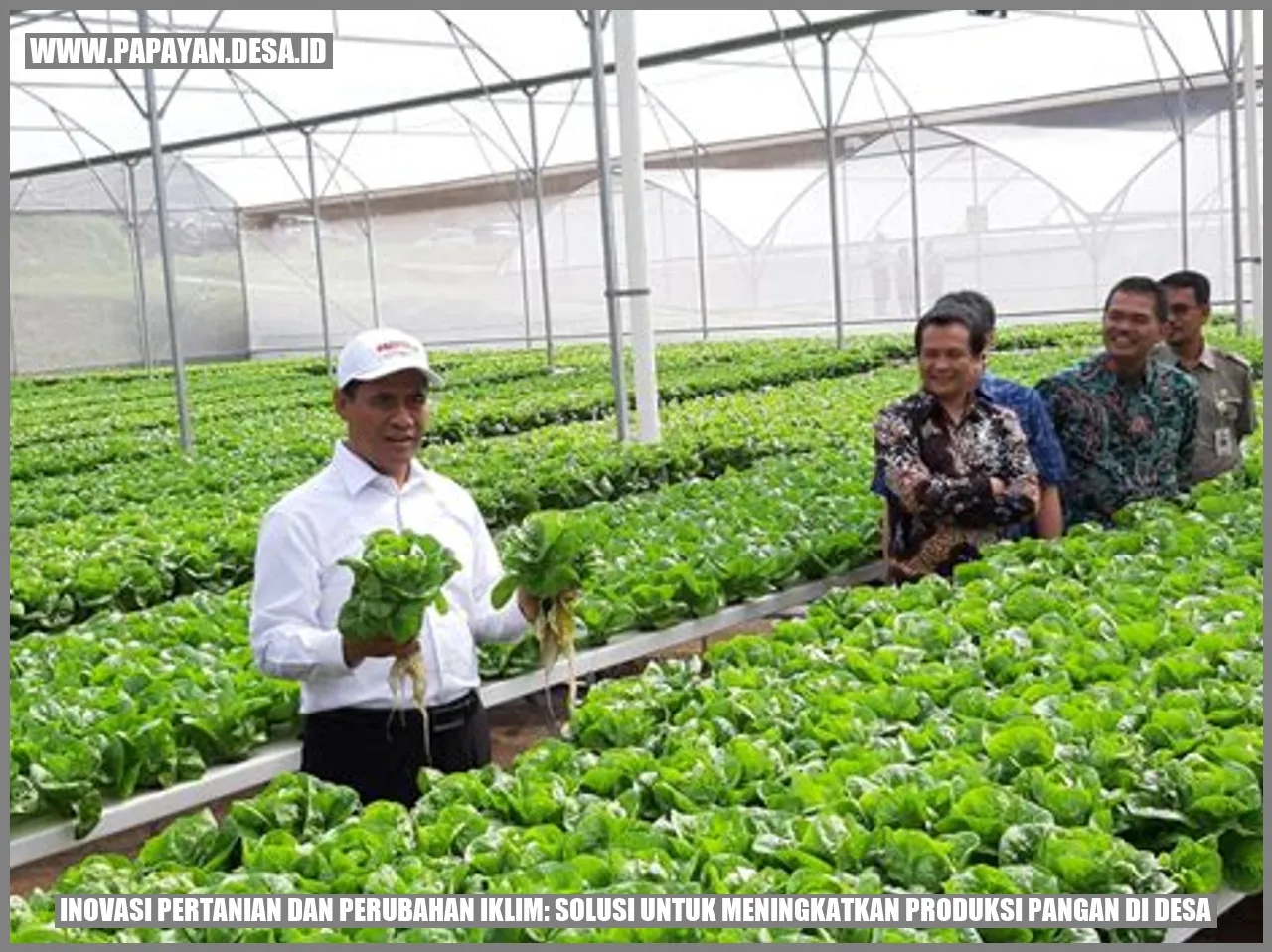 Inovasi Pertanian dan Perubahan Iklim: Solusi untuk Meningkatkan Produksi Pangan di Desa