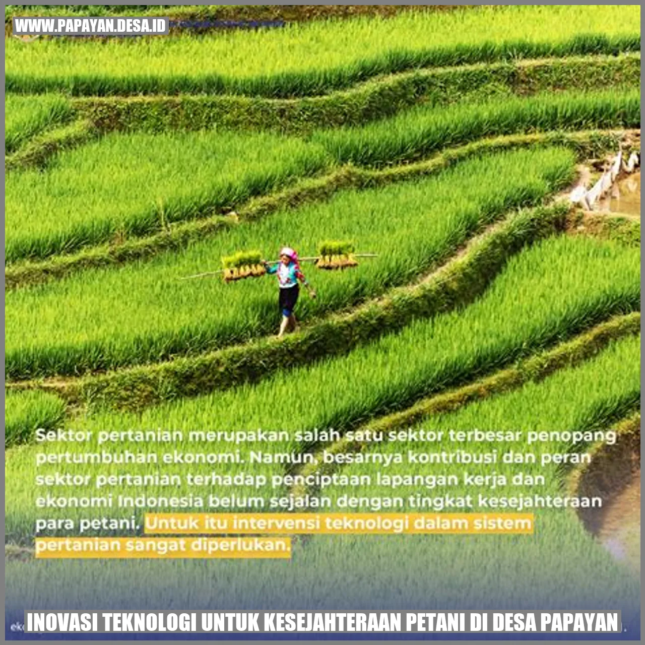 Inovasi Teknologi untuk Kesejahteraan Petani di Desa Papayan