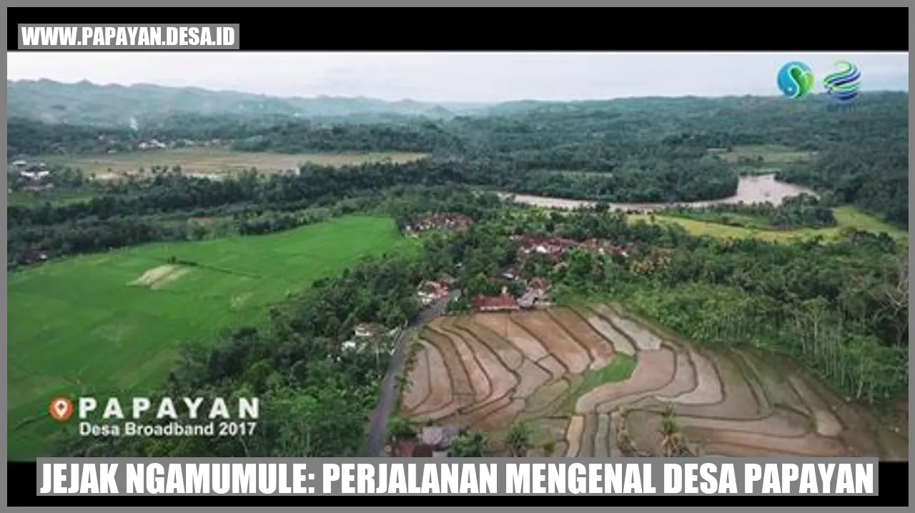 Jejak Ngamumule: Perjalanan Mengenal Desa Papayan