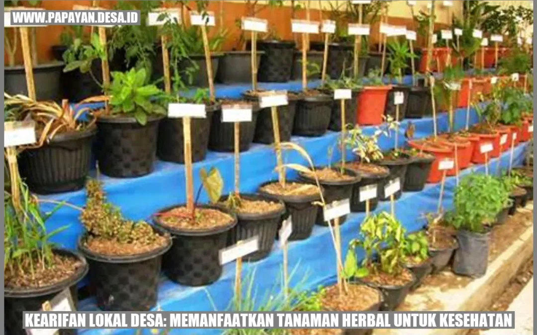 Kearifan Lokal Desa: Memanfaatkan Tanaman Herbal untuk Kesehatan