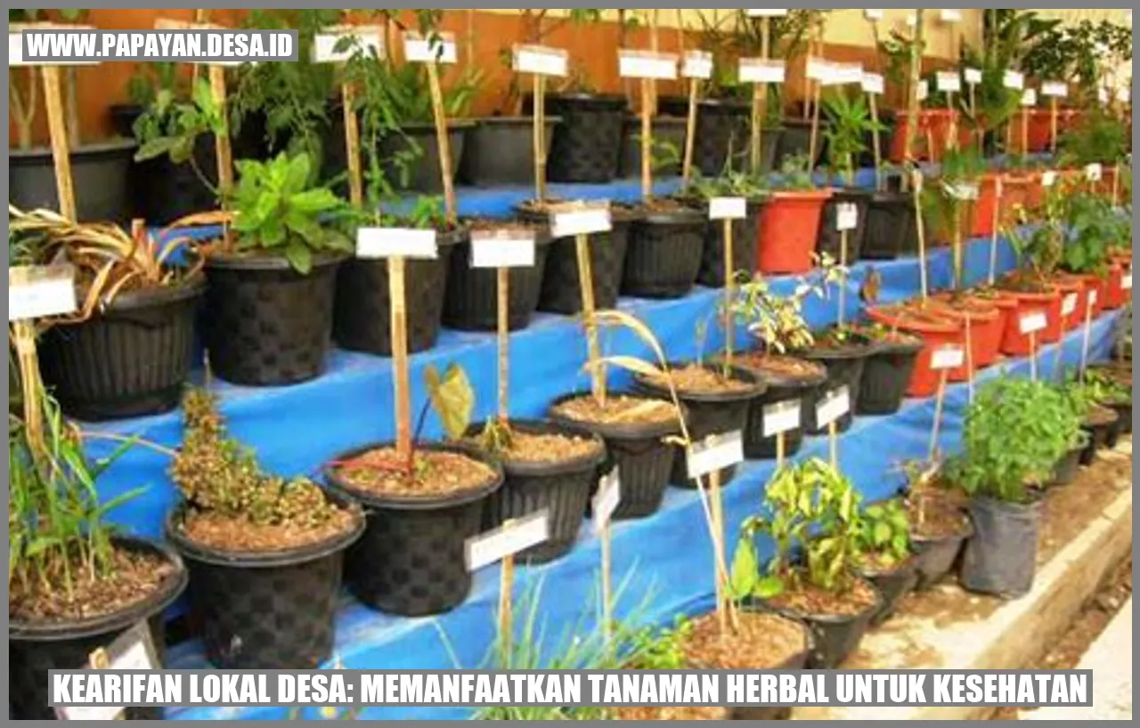 Tanaman Herbal