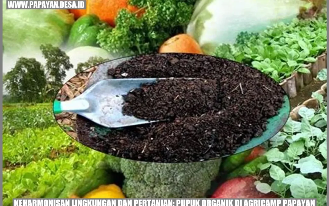 Keharmonisan Lingkungan dan Pertanian: Pupuk Organik di Agricamp Papayan