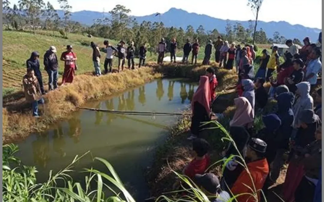 Kemarau yang Memberi Berkah: Petani Maggis Desa Papayan Menuai Hasil Melimpah