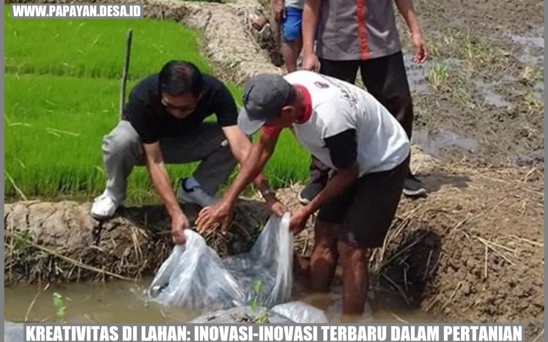 Kreativitas di Lahan: Inovasi-Inovasi Terbaru dalam Pertanian