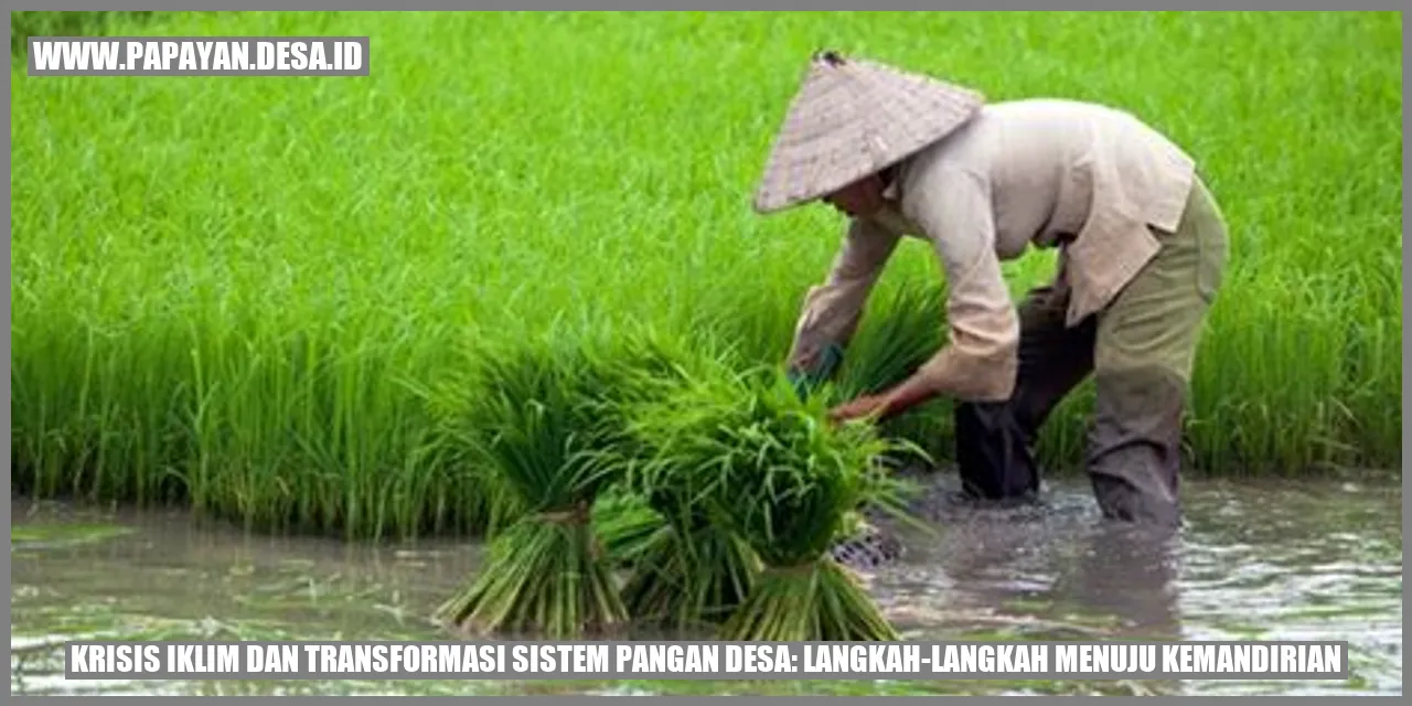 Krisis Iklim dan Transformasi Sistem Pangan Desa: Langkah-Langkah Menuju Kemandirian