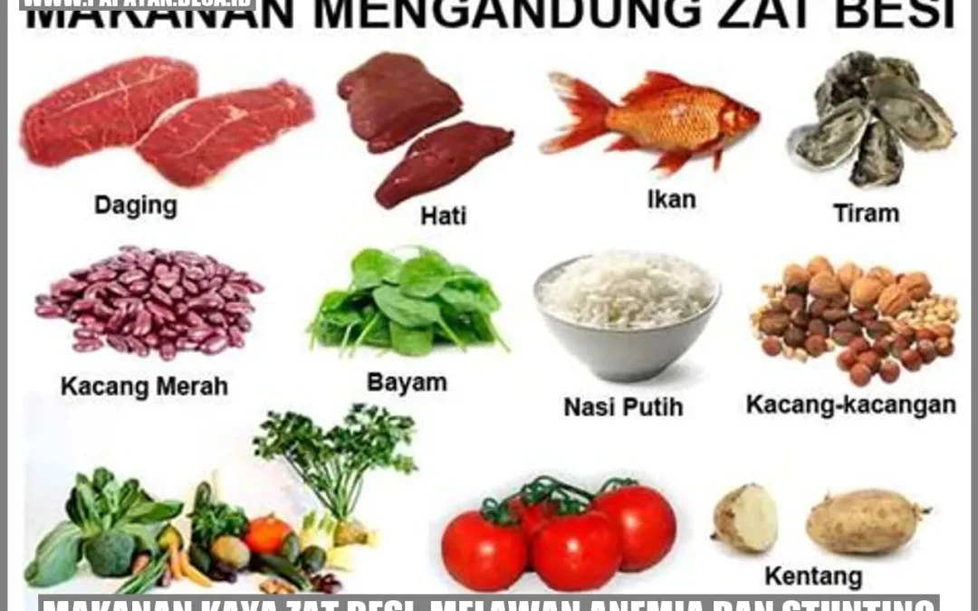 Makanan Kaya Zat Besi: Melawan Anemia dan Stunting