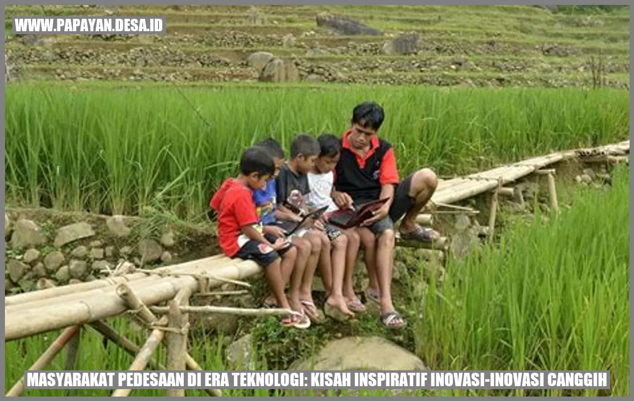 drone di ladang padi