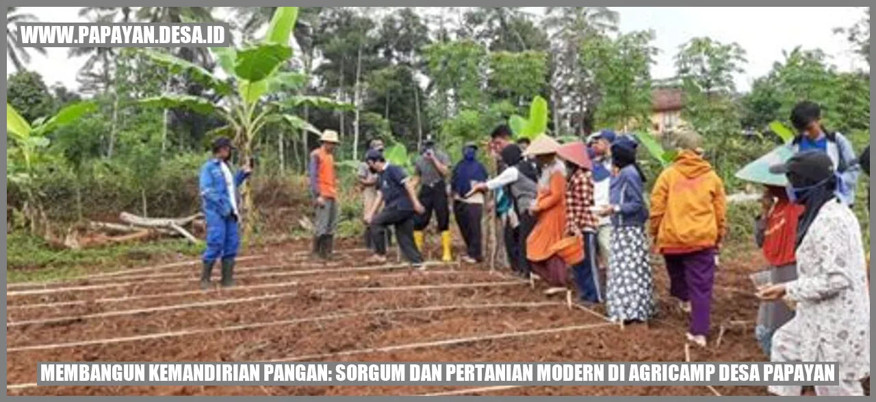 Gambar Pertanian Modern di Desa Papayan