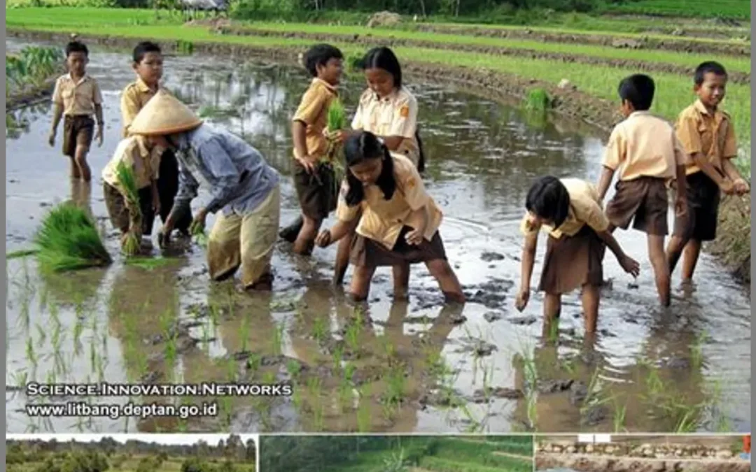 Menuju Pertanian Ramah Lingkungan di Desa Papayan: Langkah-Langkah Keberlanjutan