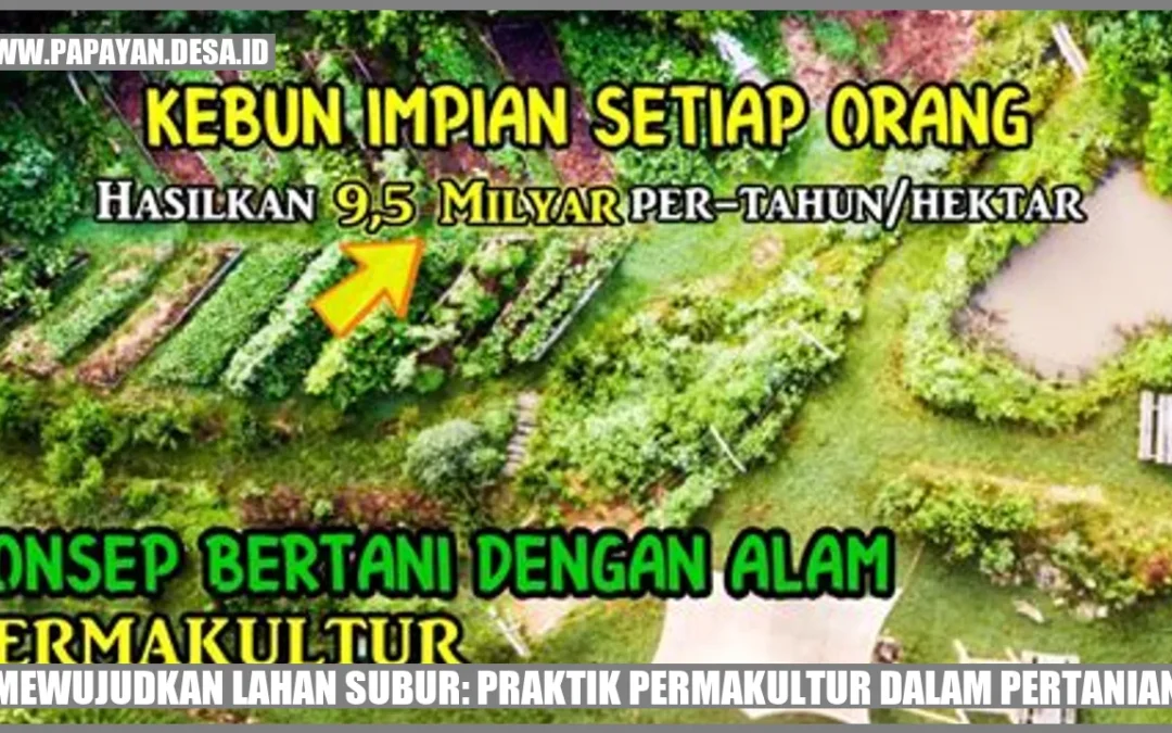 Mewujudkan Lahan Subur: Praktik Permakultur dalam Pertanian