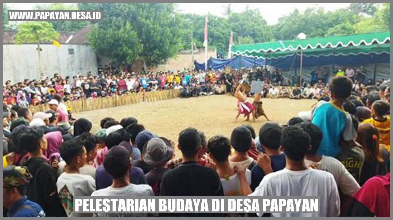 Pelestarian Budaya di Desa Papayan