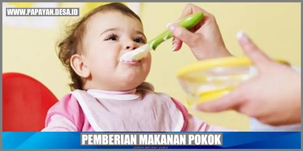 Pemberian Makanan Pokok