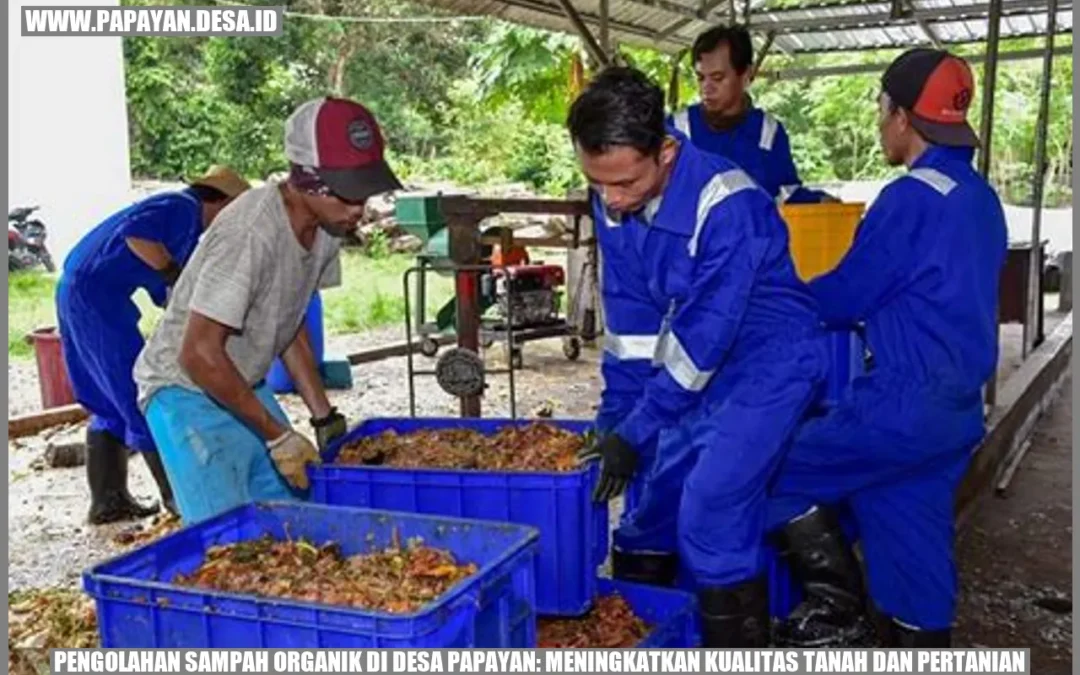 Pengolahan Sampah Organik di Desa Papayan: Meningkatkan Kualitas Tanah dan Pertanian