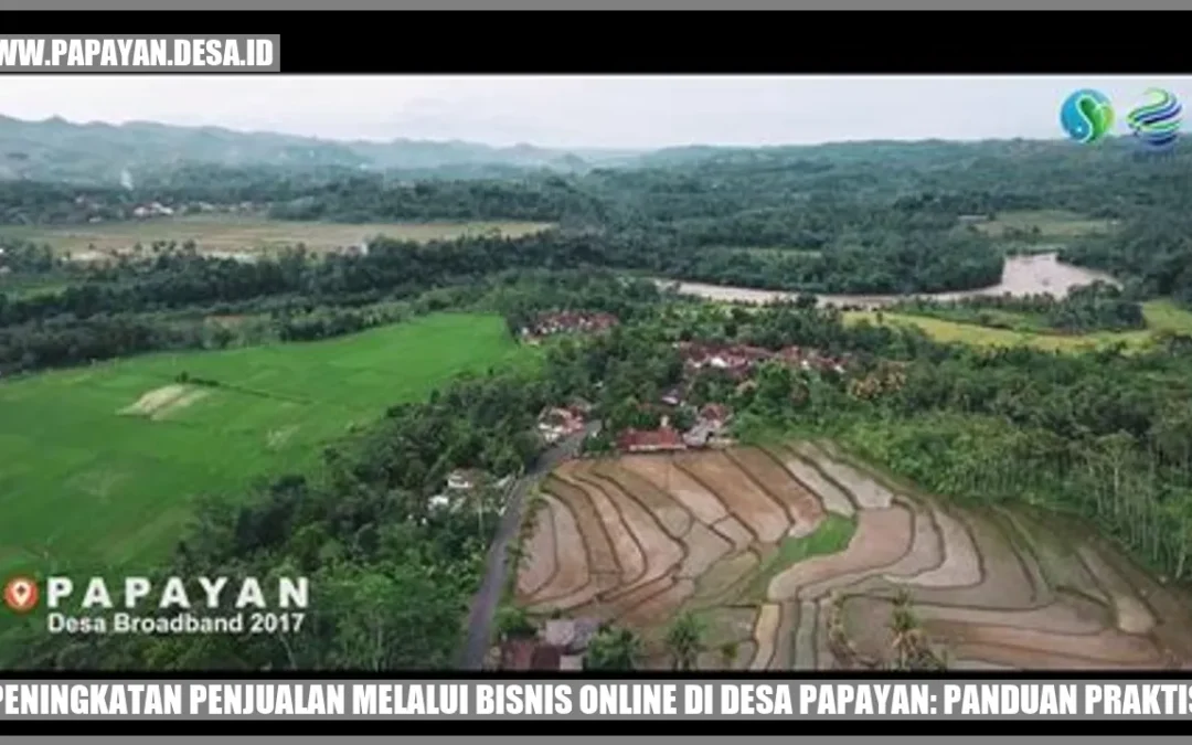 Peningkatan Penjualan melalui Bisnis Online di Desa Papayan: Panduan Praktis