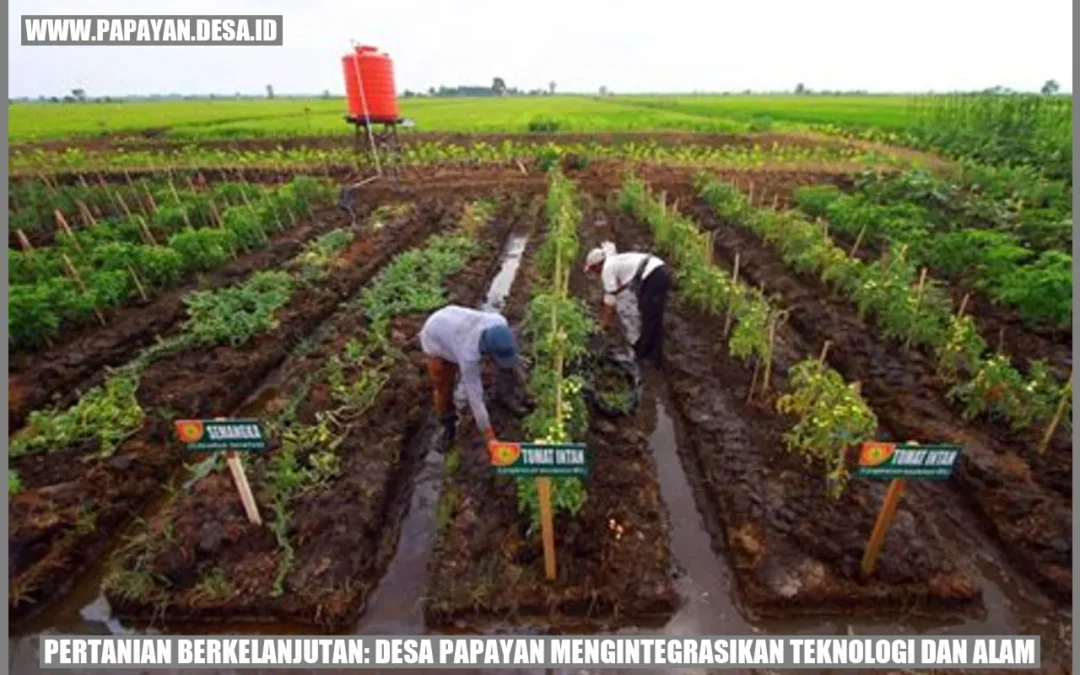 Pertanian Berkelanjutan: Desa Papayan Mengintegrasikan Teknologi dan Alam