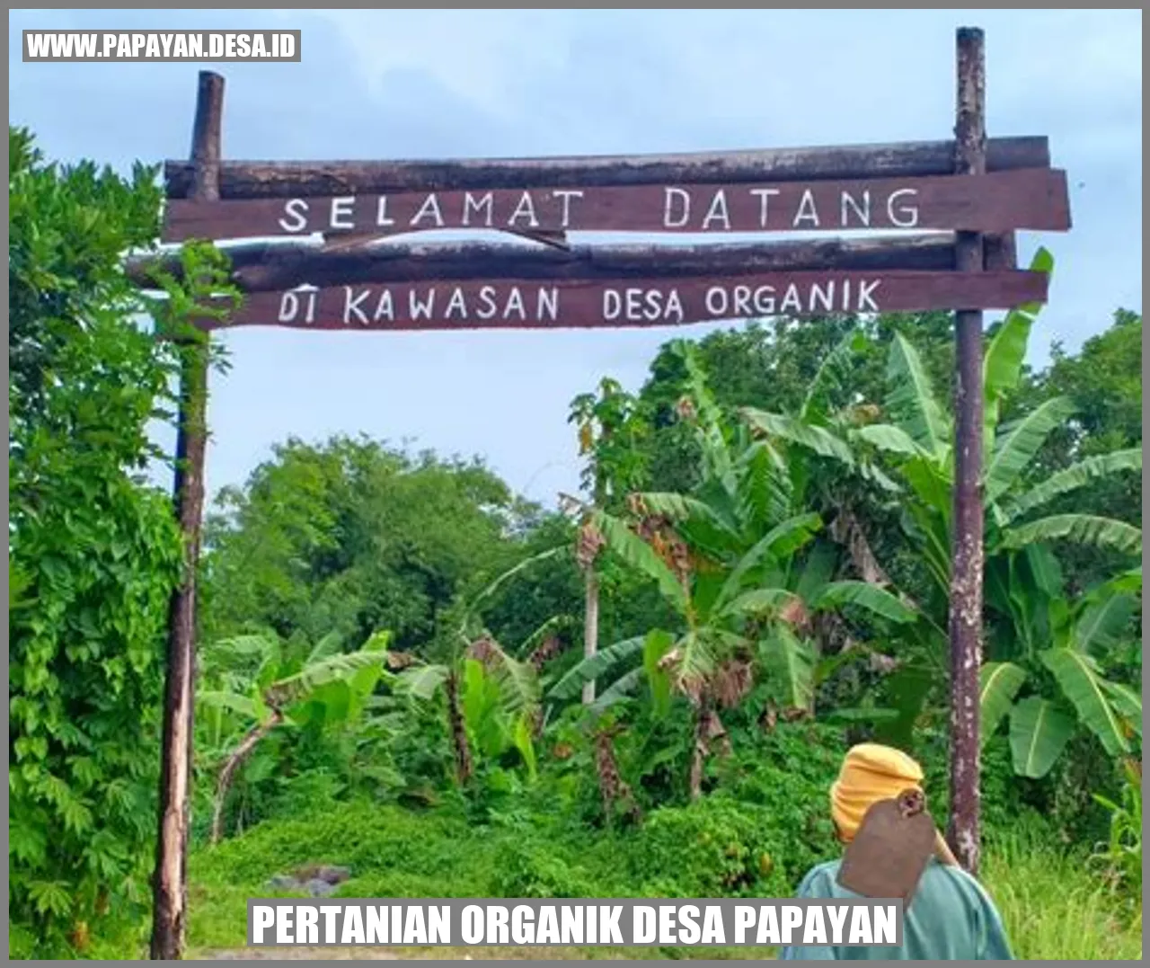 Pertanian Organik Desa Papayan