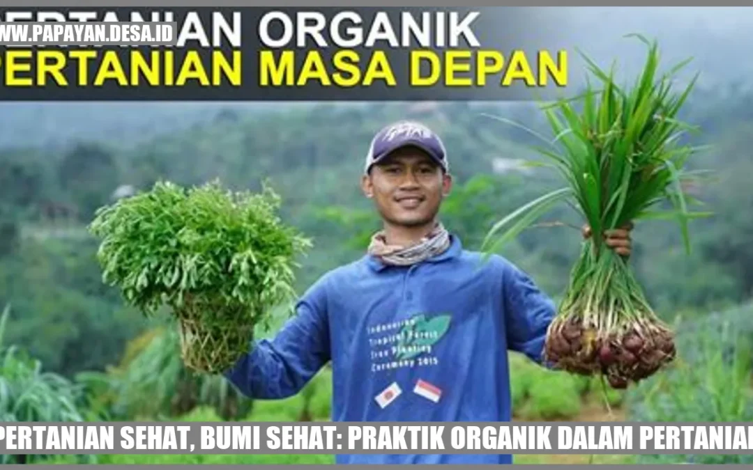 Pertanian Sehat, Bumi Sehat: Praktik Organik dalam Pertanian