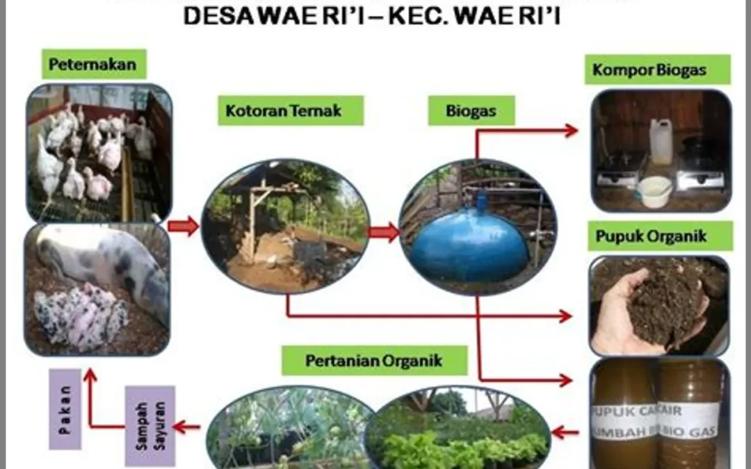 Pertanian Terpadu: Menyatukan Teknologi dan Tradisi untuk Hasil Terbaik