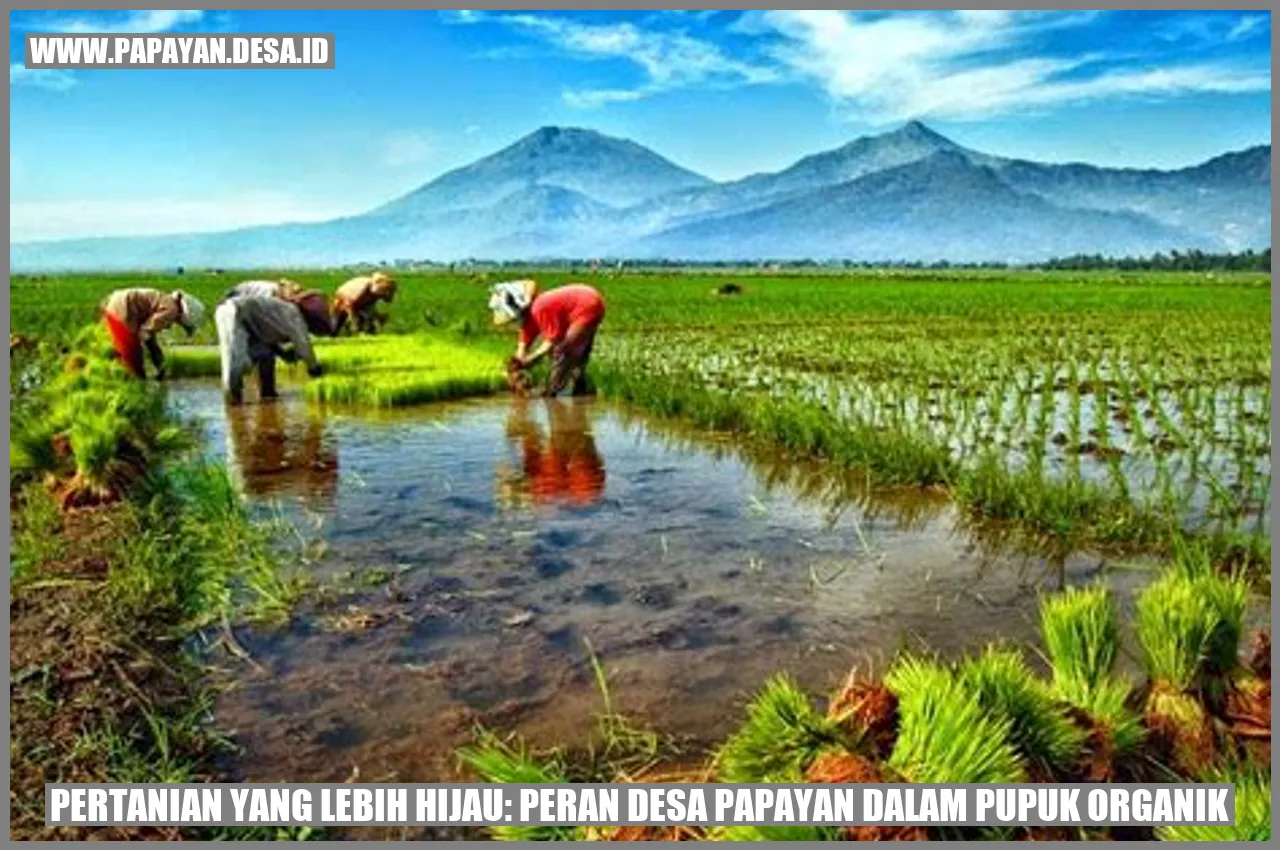 Pertanian yang Lebih Hijau: Peran Desa Papayan dalam Pupuk Organik