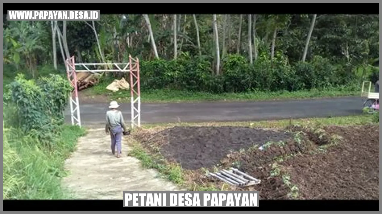 Petani Desa Bekerja Sama