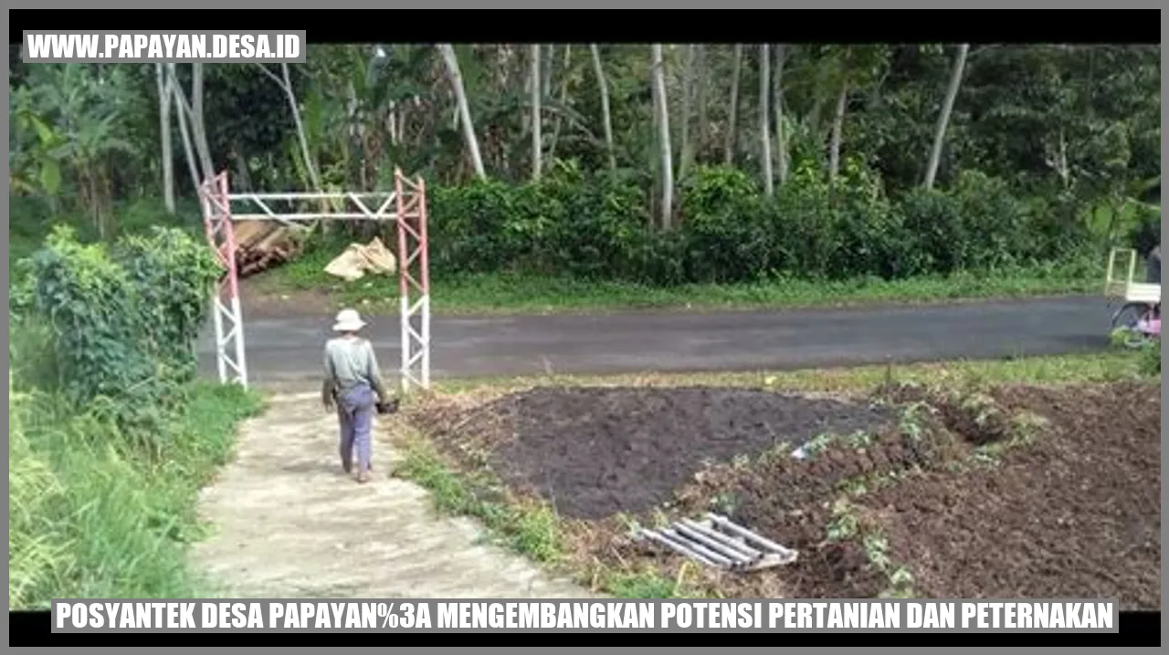 Pertanian Desa Papayan