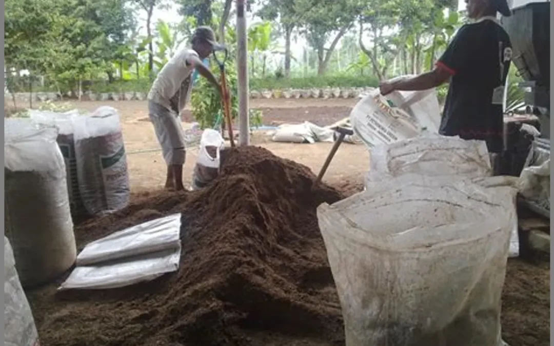 Pupuk dari Alam: Desa Papayan sebagai Teladan Pupuk Organik Domba