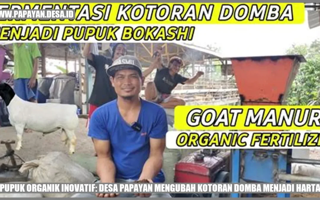 Pupuk Organik Inovatif: Desa Papayan Mengubah Kotoran Domba Menjadi Harta