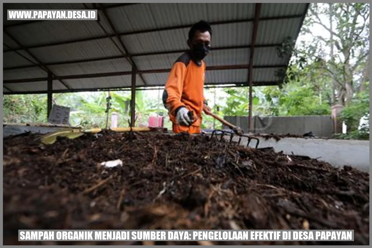 pemilahan sampah organik