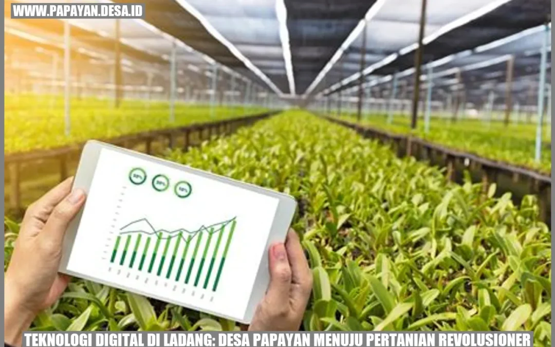 Teknologi Digital di Ladang: Desa Papayan Menuju Pertanian Revolusioner