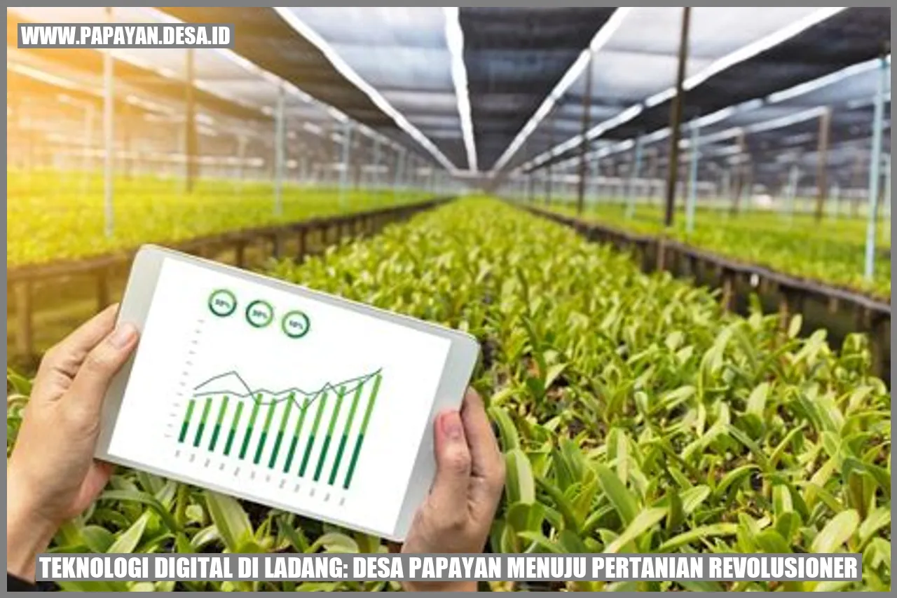 Pertanian Digital di Desa Papayan